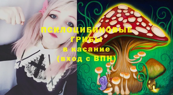 винт Алзамай