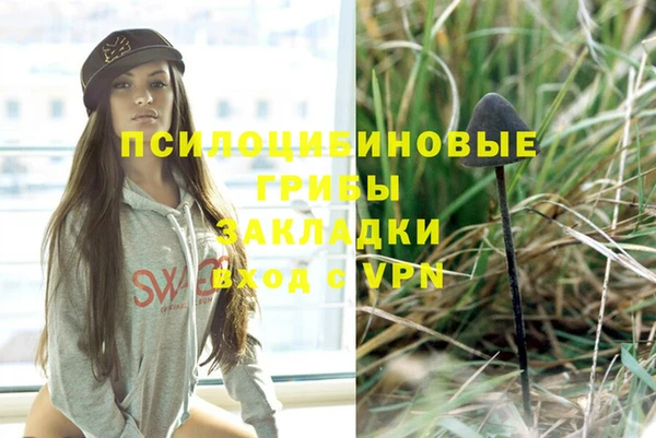 шишки Алексеевка