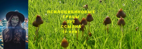 винт Алзамай