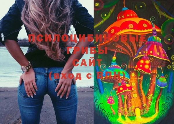 шишки Алексеевка
