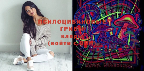винт Алзамай