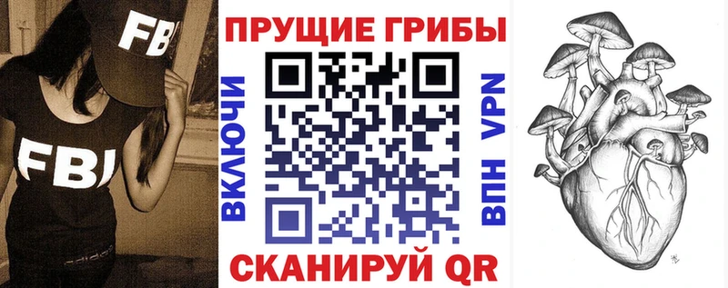 Галлюциногенные грибы прущие грибы  Чадан 